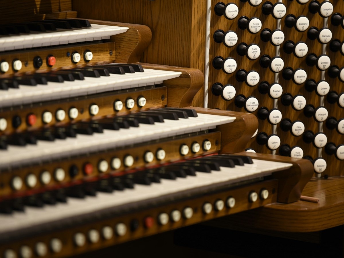 On not knowing the&nbsp;songs